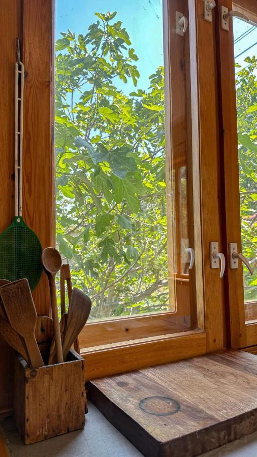 Camping Kromidovo エクステリア 写真